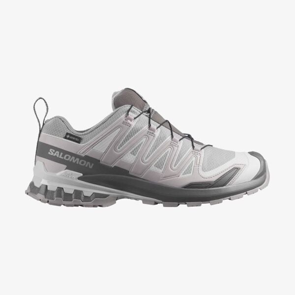 Salomon Erkek Xa Pro 3D V9 GTX Ayakkabı L49199100