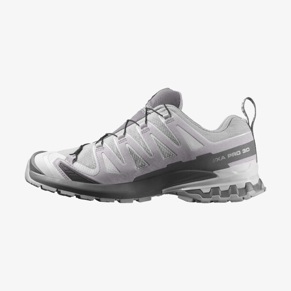 Salomon Erkek Xa Pro 3D V9 GTX Ayakkabı L49199100