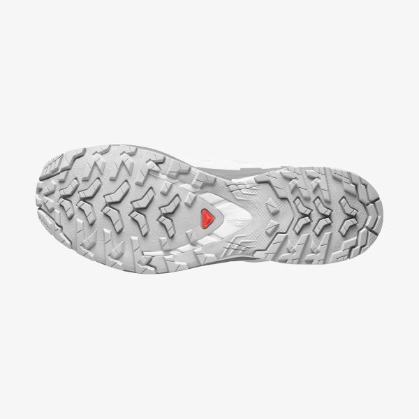 Salomon Erkek Xa Pro 3D V9 GTX Ayakkabı L49199100
