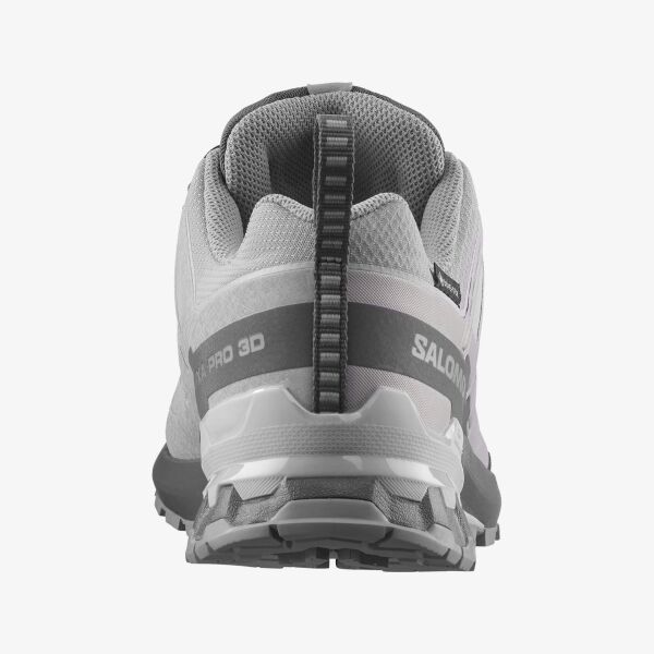 Salomon Erkek Xa Pro 3D V9 GTX Ayakkabı L49199100