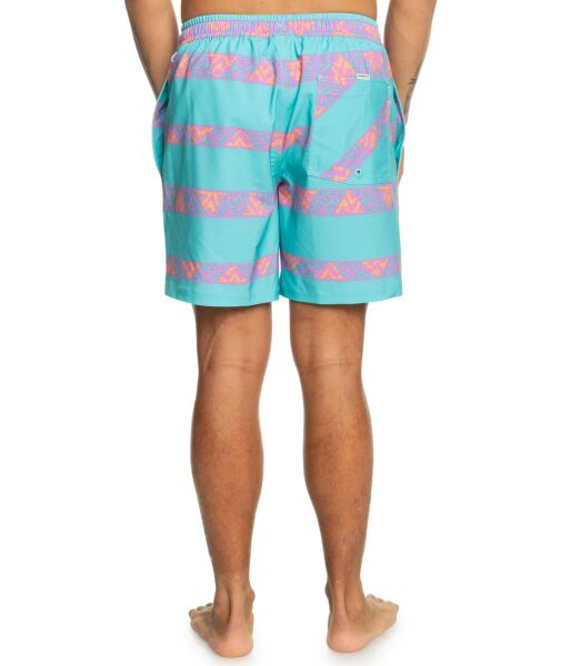 Quiksilver Take Us Back Vl 17 Erkek Şort