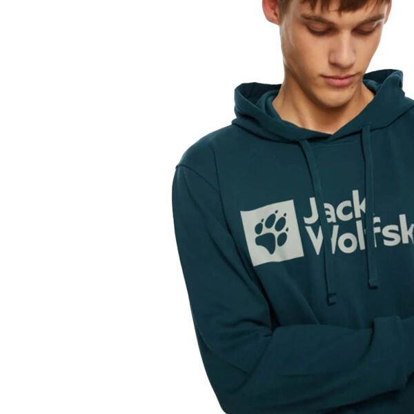 Jack Wolfskin ARTHUR HOODY M Erkek Sweatshirt Yeşil - L