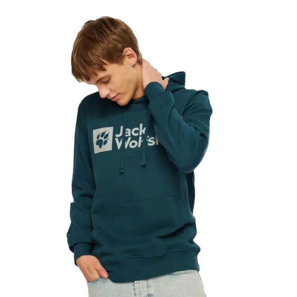 Jack Wolfskin ARTHUR HOODY M Erkek Sweatshirt Yeşil - L