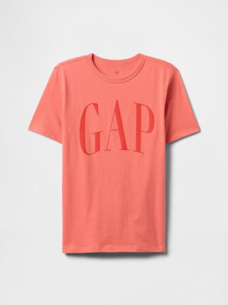 Gap Erkek Çocuk T-shirt V-FRCH LOGO ARCH TEE Mavi - L