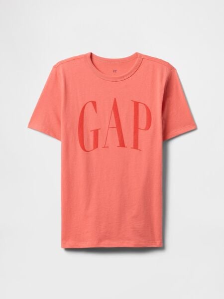 Gap Erkek Çocuk T-shirt V-FRCH LOGO ARCH TEE Mavi - XXL