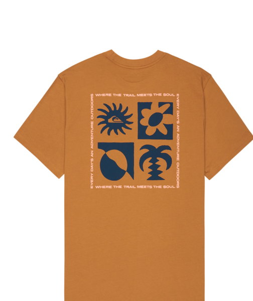 QUİCKSİLVER ERKEK T-SHIRT EQYZT08264 XL - Tobacco Brown - Solid