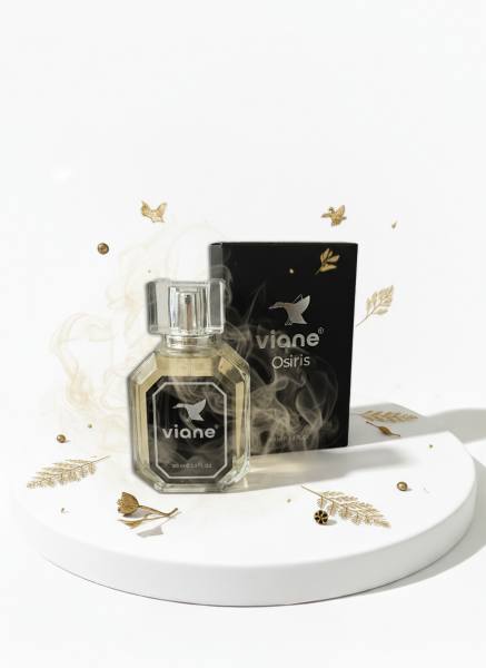 Osiris Eau de Erkek Parfüm – Çekim Gücünün ve Tutkunun Eros Esintisi 100 ml