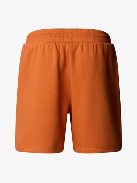 The North Face Box Nse Regular Erkek Şort Turuncu - XL