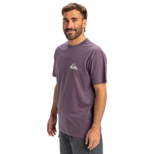 Quiksilver Ev Mini Logo Ss Erkek T-Shirt Yeşil - XXL