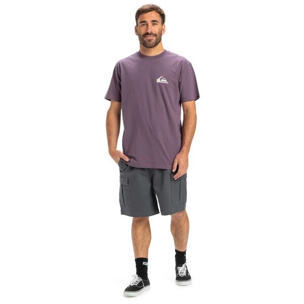 Quiksilver Ev Mini Logo Ss Erkek T-Shirt Yeşil - XXL