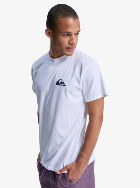 Quiksilver Ev Mini Logo Ss Erkek T-Shirt Beyaz - S