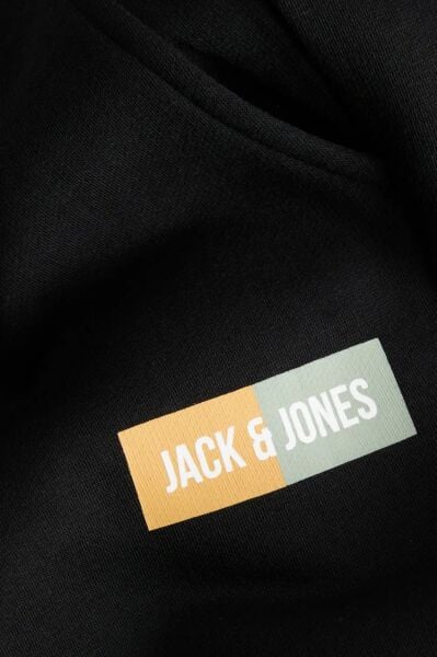 Jack & Jones  Erkek  Eşofman Altı