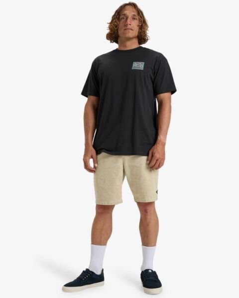 Billabong Crayon Wave Ss Erkek T-Shirt Siyah - XL