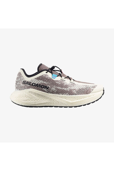 Salomon Aero Glide 4 Grvl Erkek Outdoor Koşu Ayakkabısı L47397100