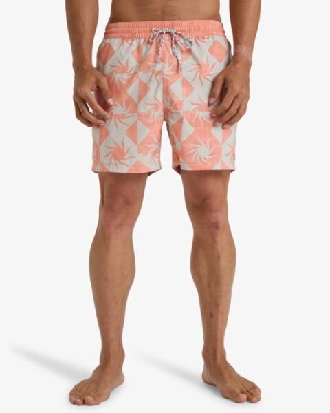 Billabong Vacay Lb Erkek Şort Pudra - M