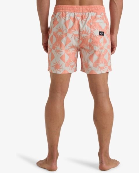 Billabong Vacay Lb Erkek Şort Pudra - M