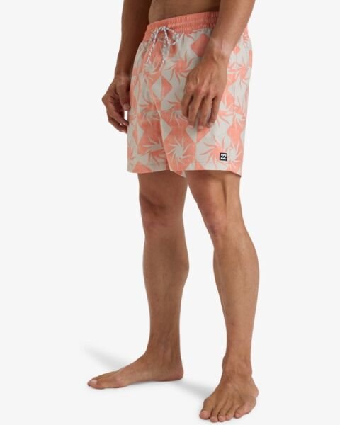 Billabong Vacay Lb Erkek Şort Pudra - M