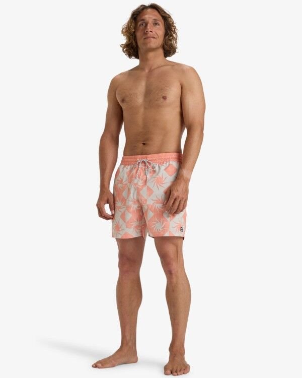Billabong Vacay Lb Erkek Şort Pudra - M