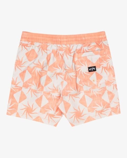 Billabong Vacay Lb Erkek Şort Pudra - M
