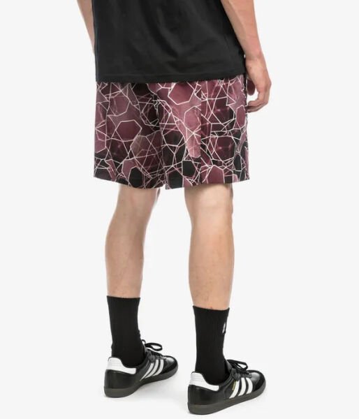 The North Face Class V Pathfinder Belted Erkek Şort Bordo Bordo - L