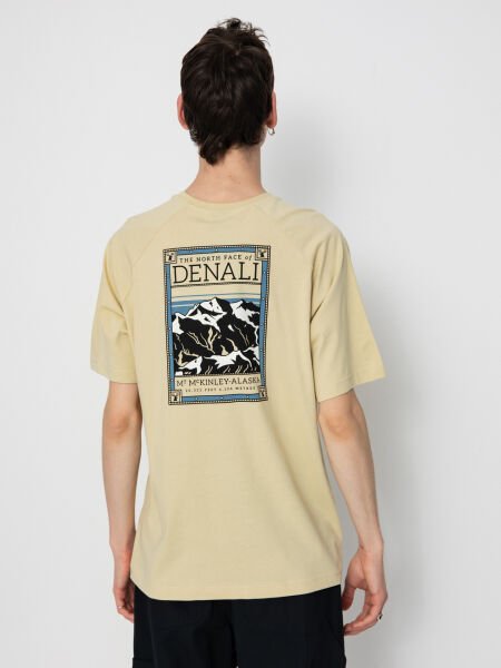 The North Face M Ss North Faces Tee Erkek T-Shirt Koyu Yeşil - XL