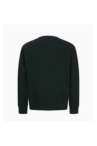 Jack & Jones  Erkek  Bisiklet Yaka Sweatshirt
