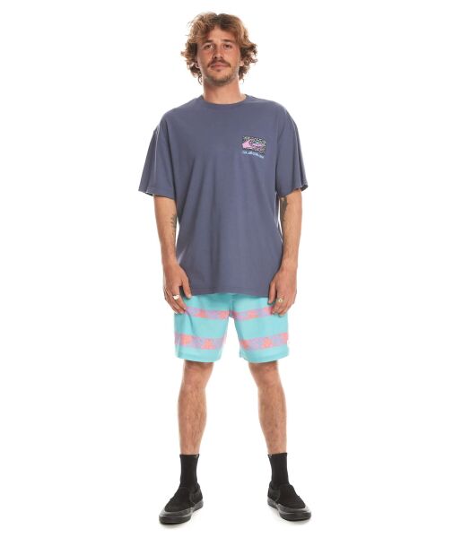 Quiksilver Spin Cycle Ss Erkek Tişört Mavi - XL