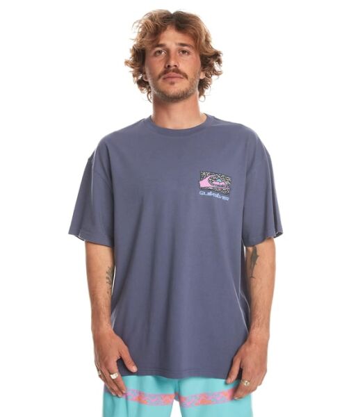 Quiksilver Spin Cycle Ss Erkek Tişört Mavi - XL