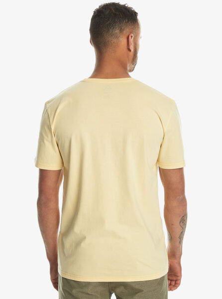 Quiksilver Mw Mini Logo Ss Erkek Tişört