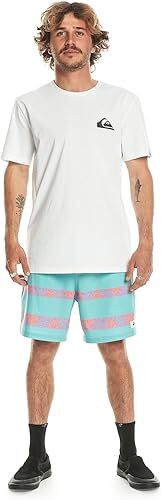 Quiksilver Mw Mini Logo Ss Erkek Tişört Beyaz - L