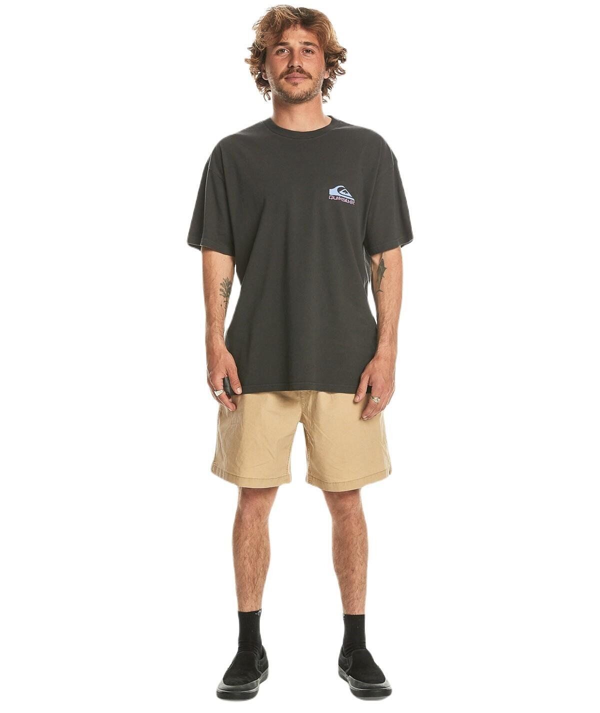 Quiksilver Take Us Back Logo Ss Erkek Tişört Siyah - M