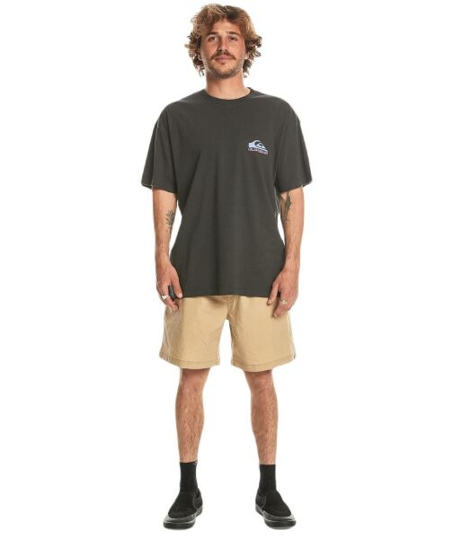 Quiksilver Take Us Back Logo Ss Erkek Tişört Siyah - M