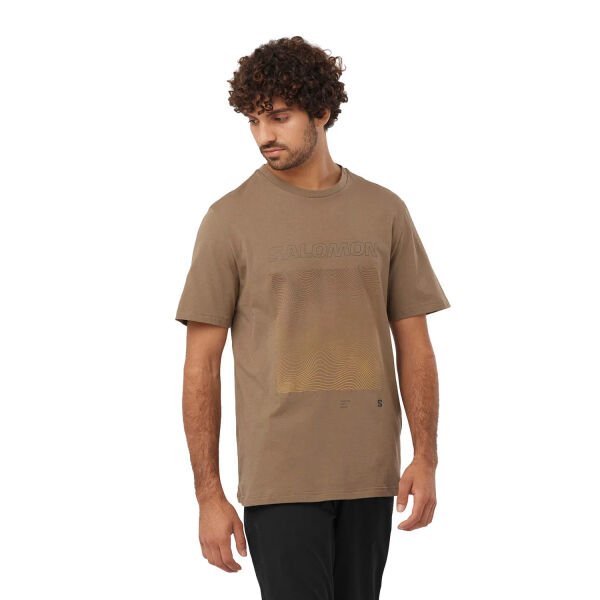 Salomon Graphic Ss Tee Erkek Kısa Kollu T-Shirt Kahverengi - XL