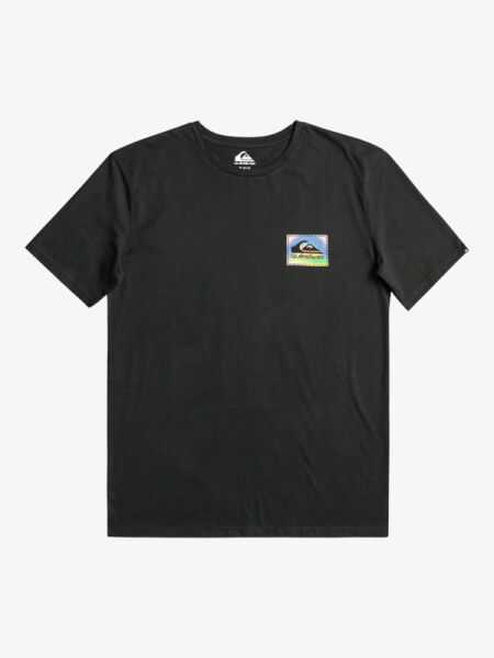 Quiksilver Erkek Beyaz Color Flow Pamuklu Grafik Baskılı T-Shirt Eqyzt07229