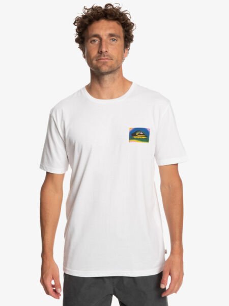 Quiksilver Erkek Beyaz Color Flow Pamuklu Grafik Baskılı T-Shirt Eqyzt07229 L - Anthracite - Solid