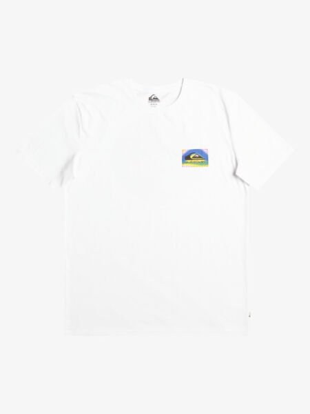 Quiksilver Erkek Beyaz Color Flow Pamuklu Grafik Baskılı T-Shirt Eqyzt07229 L - Anthracite - Solid